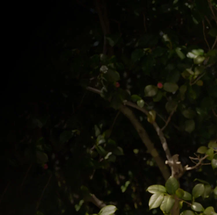 Background image for access to treatment