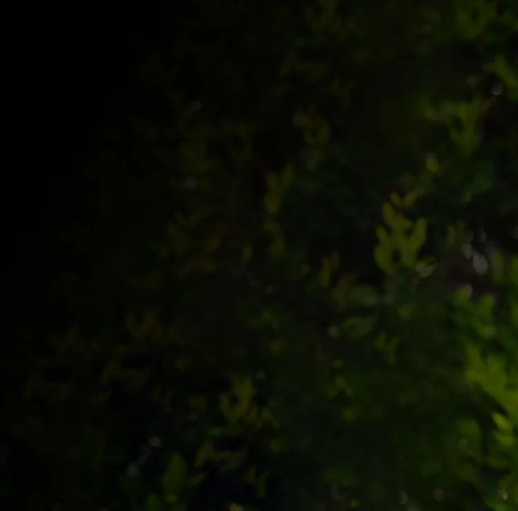 Background image for staying on track