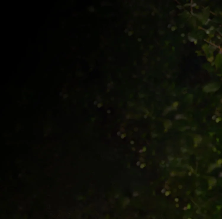 Image illustrating sitemap